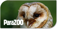 ParaZOO